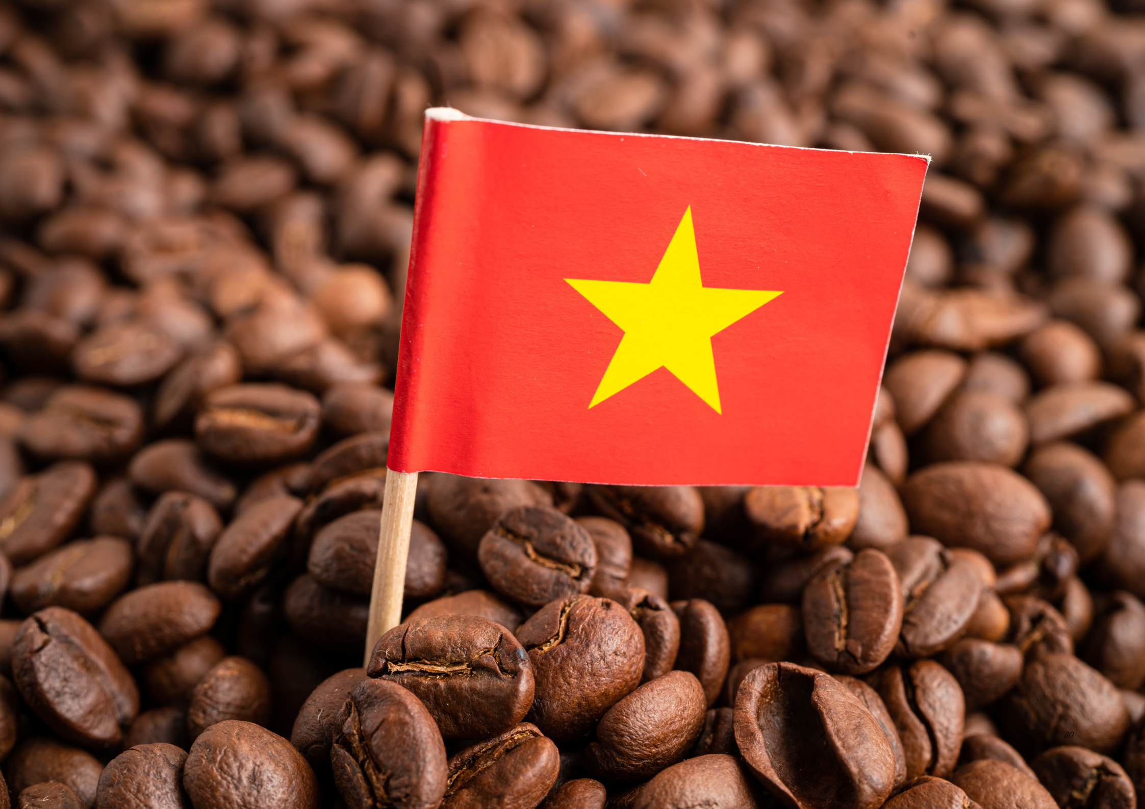 Opportunities for Roasters and Distributors