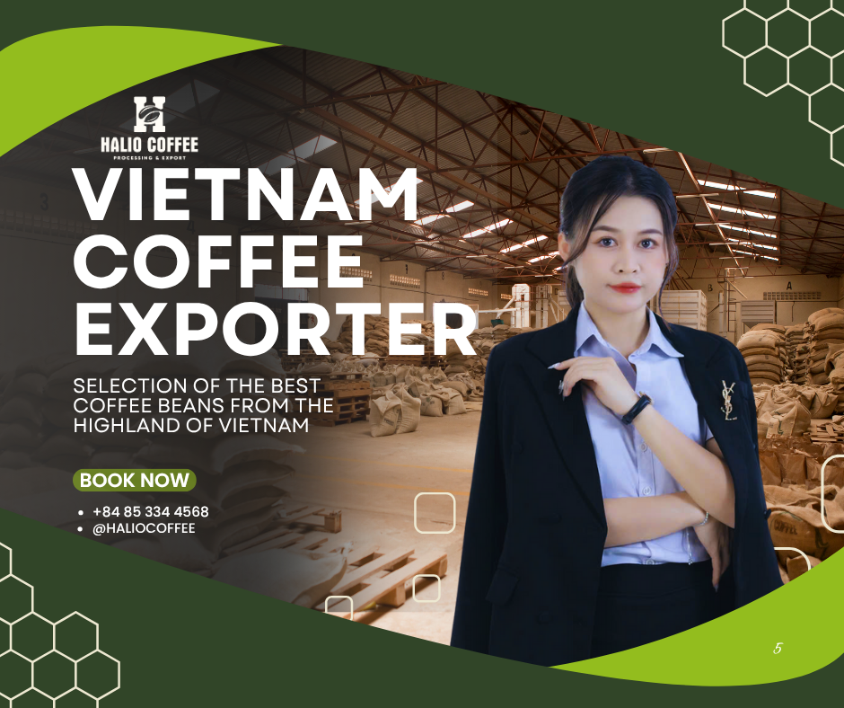 Vietnam Green Coffee Beans: Characteristics and Quality