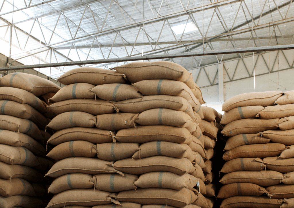 Evaluating Bulk Vietnamese Robusta Coffee Suppliers
