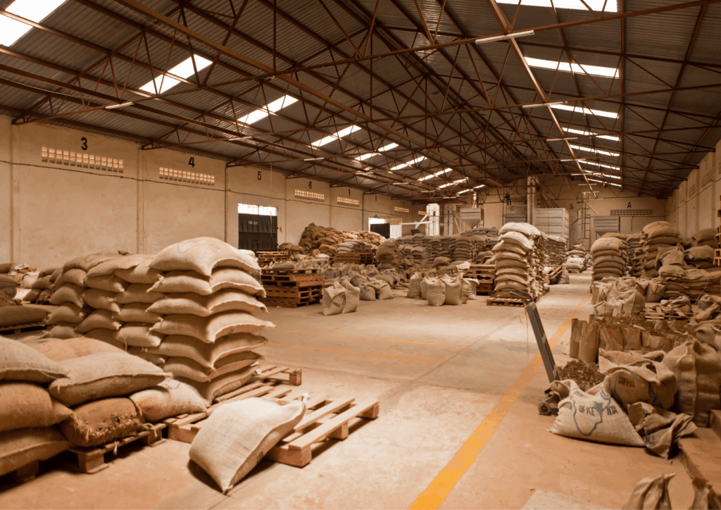  Factors to Consider When Bulk Buying Robusta Beans