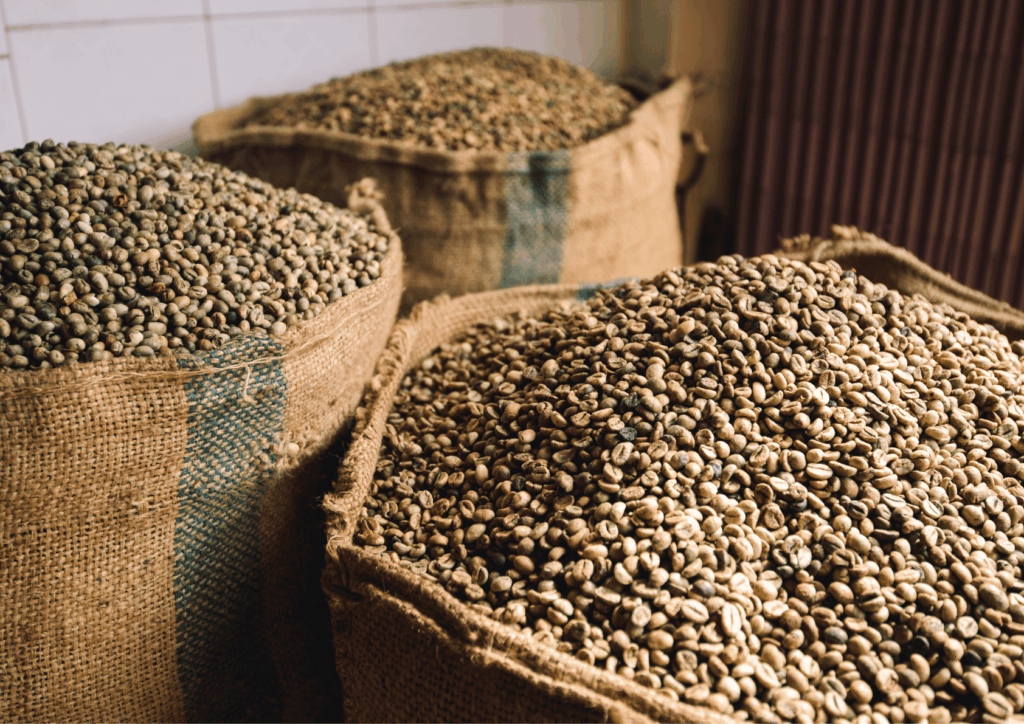 Vietnam Natural Robusta Coffee