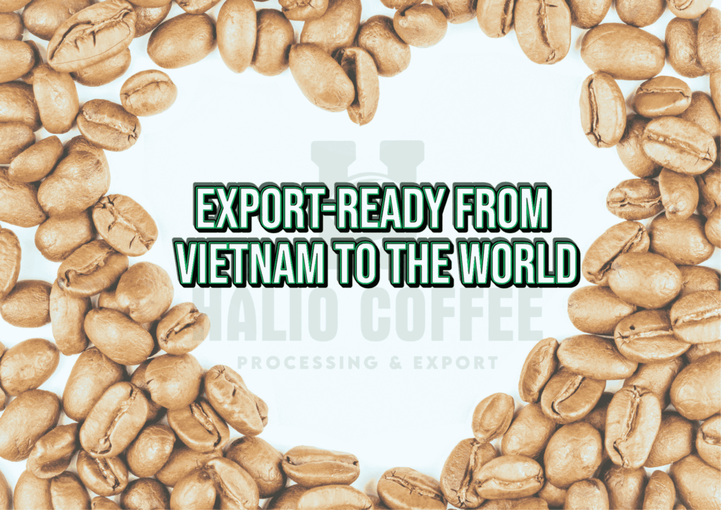 Export-ready from Vietnam to the world