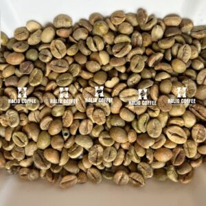 Robusta Clean (SCR16 SCR18)  | Grade 1 | Vietnam [Best Seller]