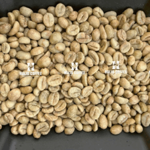 Robusta Natural Coffee (SCR18, SCR16) | Grade 1