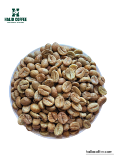 Vietnam Robusta Honey Processed Coffee (SCR18, SCR16) | Grade 1 |
