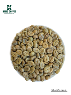 Robusta Natural Coffee (SCR18, SCR16) | Grade 1