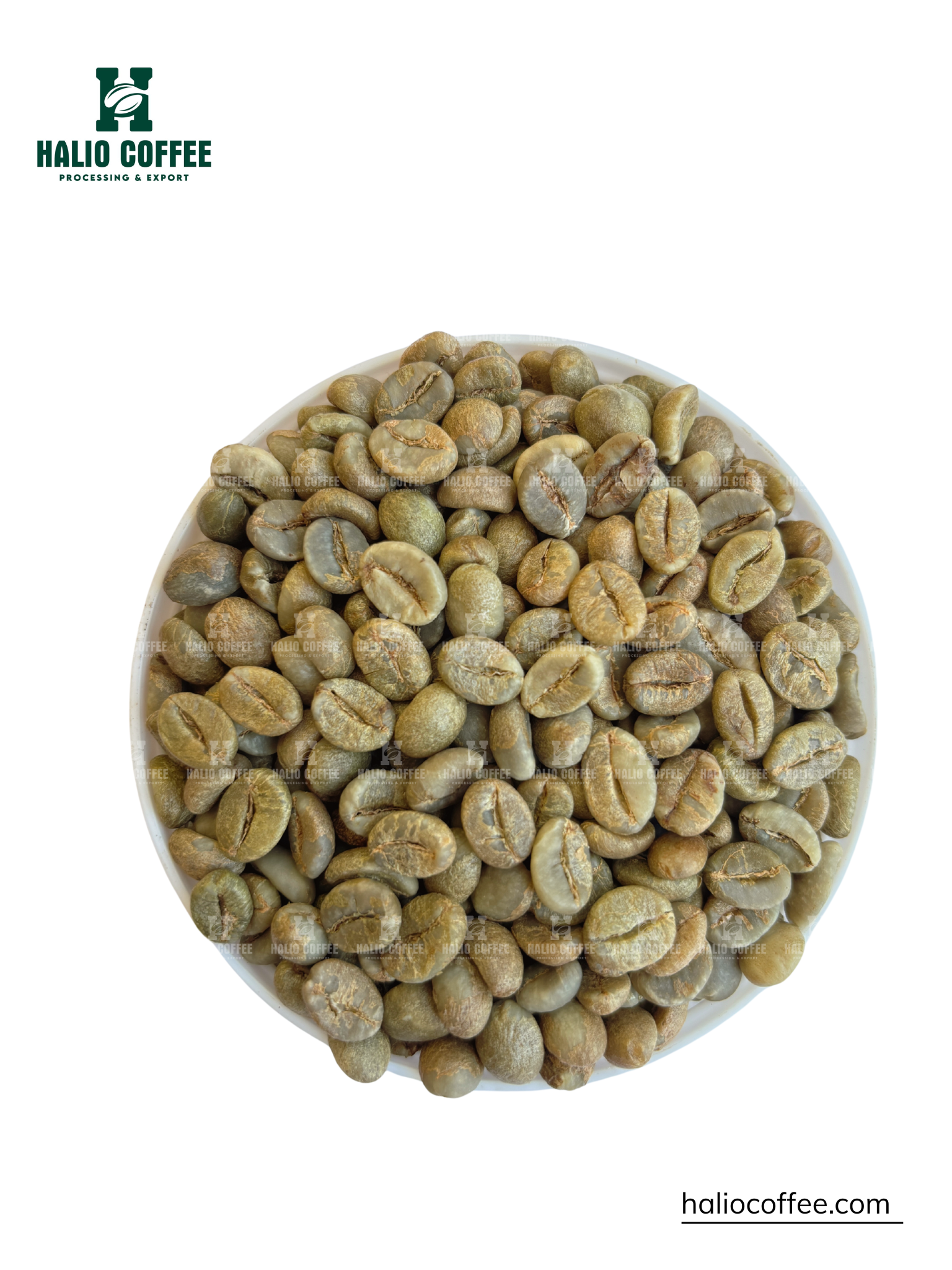 Robusta Natural Coffee (SCR18, SCR16) | Grade 1
