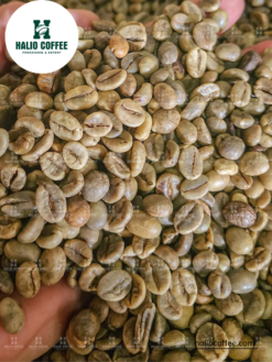 Alternative view of Robusta Wet Polished (SCR16 SCRS18)  | Grade 1 |