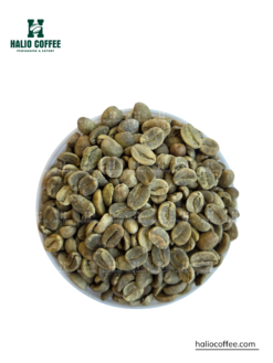 Arabica Natural Processed Coffee Beans – S18, S16 | Vietnam Arabica Coffee