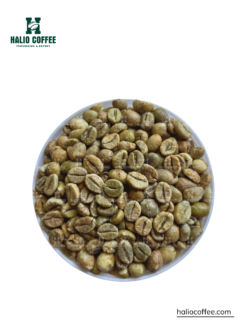 Robusta Clean (SCR16 SCR18)  | Grade 1 | Vietnam [Best Seller]
