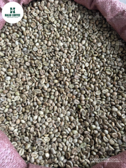 Alternative view of Robusta Clean (SCR16 SCR18)  | Grade 1 | Vietnam [Best Seller]