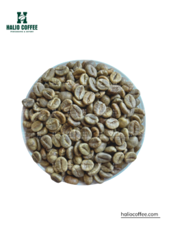 Robusta Wet Polished (SCR16 SCRS18)  | Grade 1 |