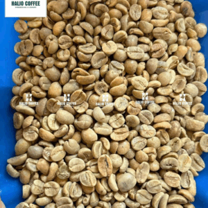 Arabica lao Fully Washed– S18, S16 | GRADE 1