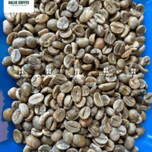 Arabica Natural Processed Coffee Beans – S18, S16 | Vietnam Arabica Coffee