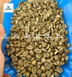 Arabica S18 Fully Washed | Arabica Specialty | Lam Dong Origin