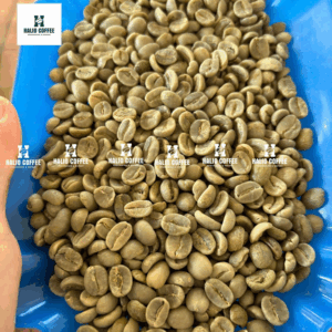 Arabica S18 Fully Washed | Arabica Specialty | Lam Dong Origin