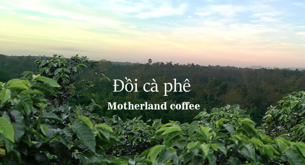 Montherland Coffee