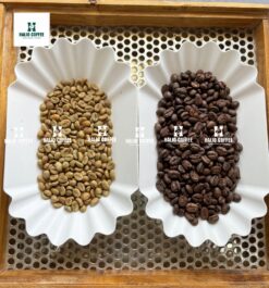 Alternative view of Vietnam Robusta Honey Processed Coffee (SCR18, SCR16) | Grade 1 |