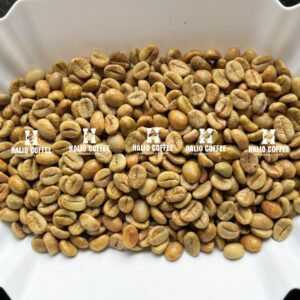 Vietnam Robusta Honey Processed Coffee (SCR18, SCR16) | Grade 1 |