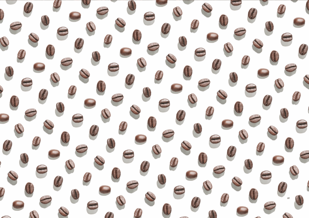 Vietnamese green coffee beans supplier