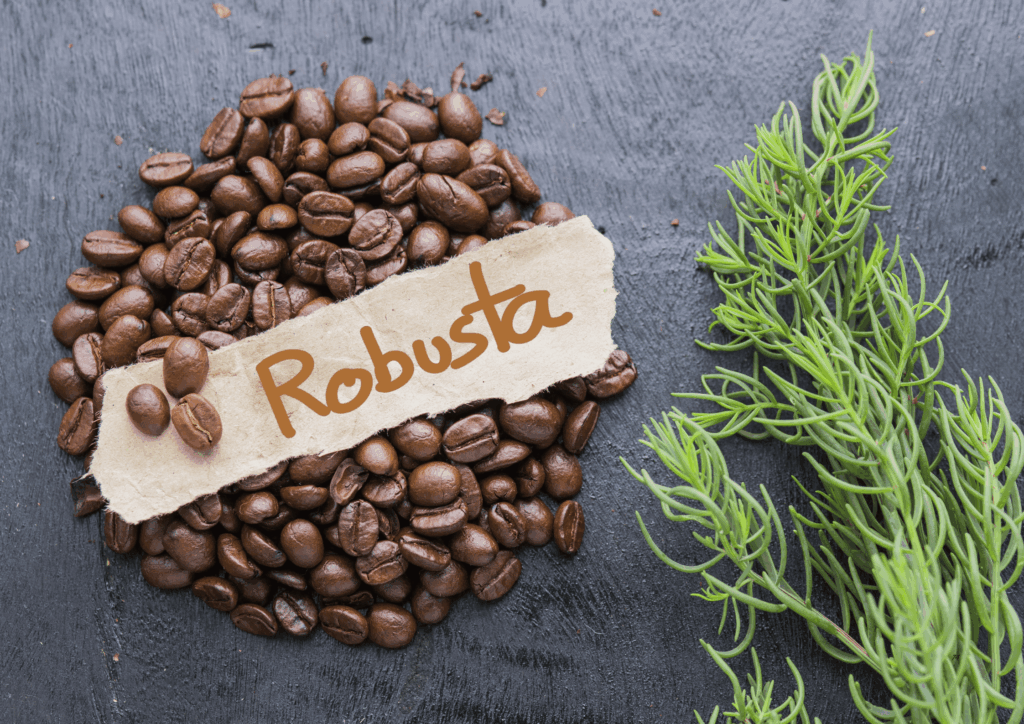 Dry Processed Robusta Beans in Global Trade