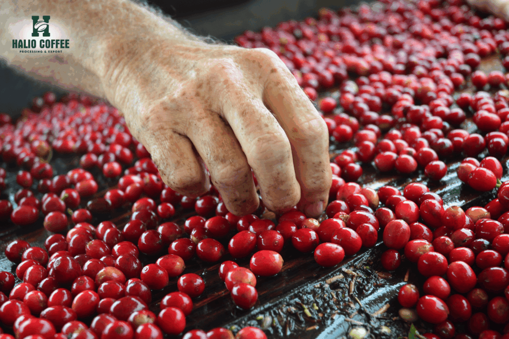 Defining "Traceable" in the Post-EUDR Era