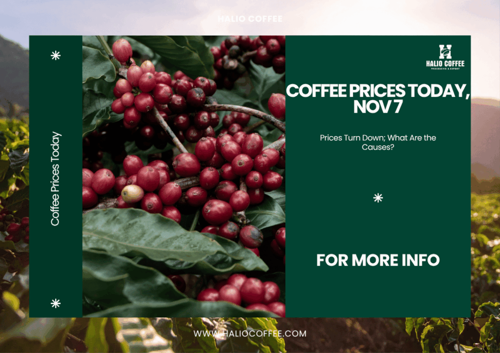 Coffee Prices Today, Nov 7: Prices Turn Down; What Are the Causes?