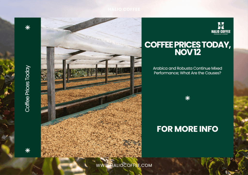Coffee Prices Today, Nov 12: Arabica and Robusta Continue Mixed Performance; What Are the Causes?