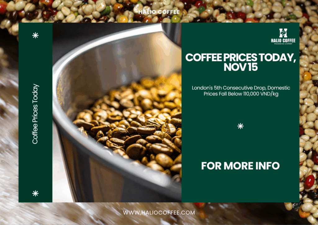 Coffee Prices Today, Nov 15: London's 5th Consecutive Drop, Domestic Prices Fall Below 110,000 VND/kg