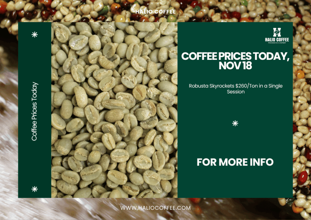 Coffee Prices Today, Nov 18: Robusta Skyrockets $260/Ton in a Single Session