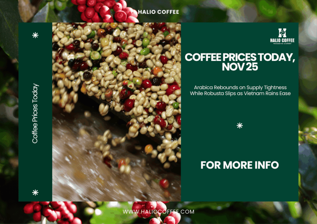 Coffee Prices Today, Nov 25: Arabica Rebounds on Supply Tightness While Robusta Slips as Vietnam Rains Ease