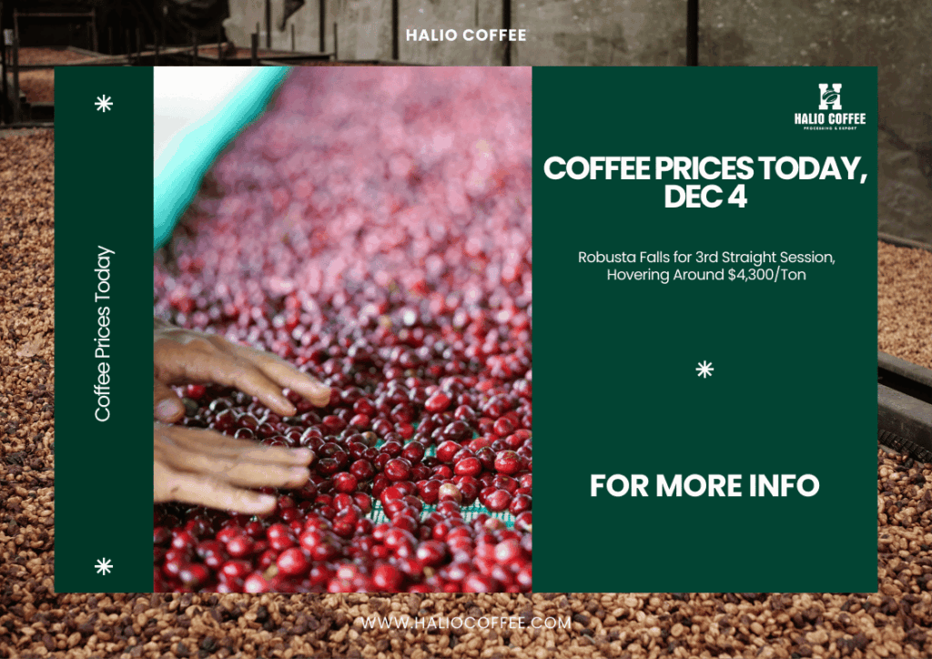 Coffee Prices Today, Dec 4: Robusta Falls for 3rd Straight Session, Hovering Around $4,300/Ton