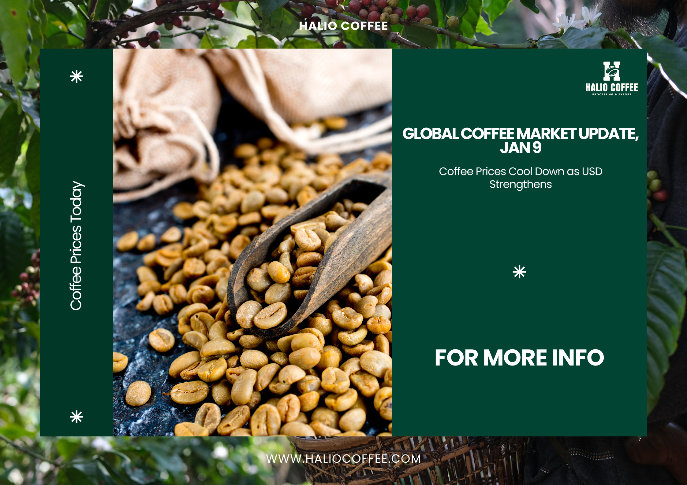 Coffee Prices Today Jan 9: Slight Decline Amidst Strengthening USD