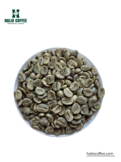 Arabica Coffee Fully Washed Grade 2 – Commercial Arabica Coffee