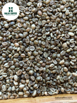 Alternative view of Robusta Coffee Grade 1 – Screen 18 (2% Black & Broken) | Vietnam