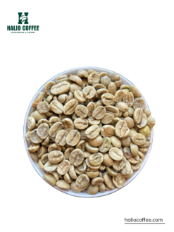 Arabica Fully Washed – Cau Dat, Lam Dong | Screen 16/18